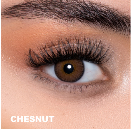 Fx Eyes Ela Renk Chestnut (1 Yıllık)