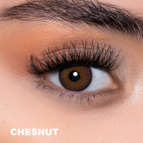 Fx Eyes Ela Renk Chestnut (1 Yıllık)