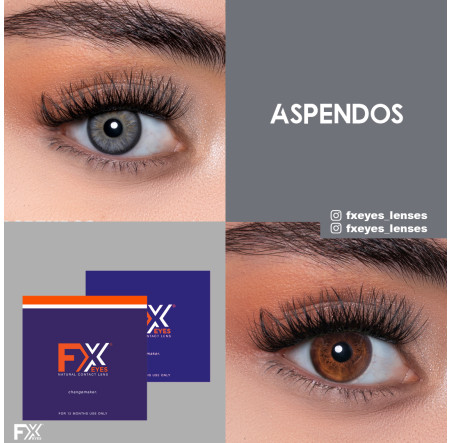 Fx Eyes Gri Renk Aspendos (1 Yıllık)