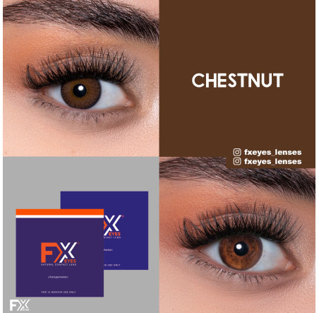 Fx Eyes Ela Renk Chestnut (1 Yıllık)