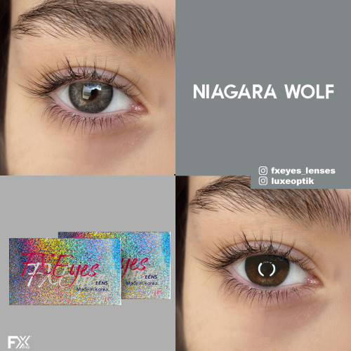 Fx Eyes Gri Renk Niagara Wolf  (3 Aylık)