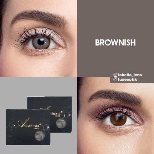 Anastasia Once Ela Renk Brownish (GÜNLÜK)