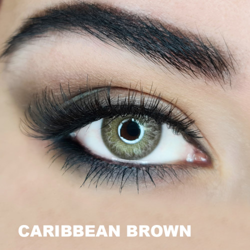 Hypnose Caribbean Brown (Kahverengi)  (1 Yıllık)