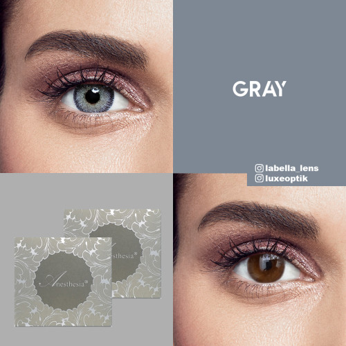 Anastasia Anesthesia Gri Renk Gray (6 Aylık)