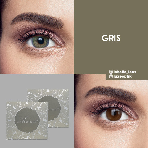 Anastasia Anesthesia Mavi Renk Gris (6 Aylık)