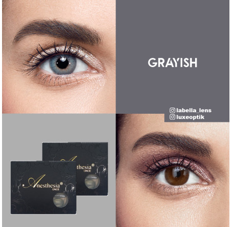 Anastasia Once Mavi Renk Grayish (6 Aylık)