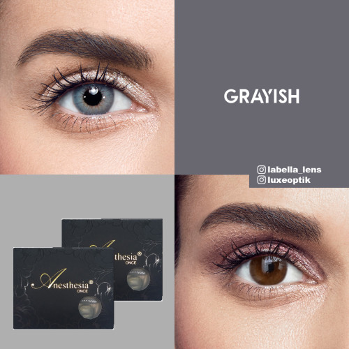 Anastasia Once Mavi Renk Grayish (6 Aylık)