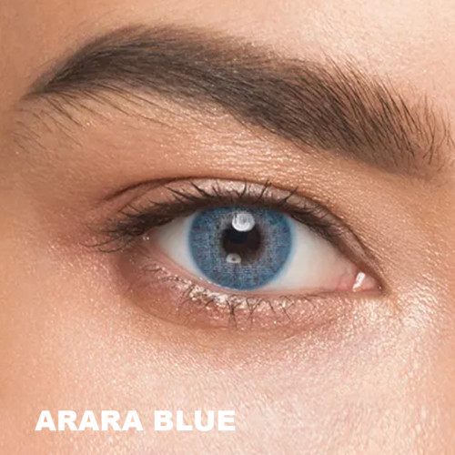 Solotica Mavi Renk Arara Blue (3 Aylık)