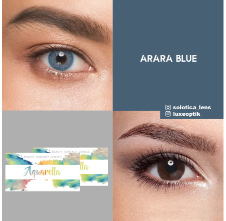 Solotica Mavi Renk Arara Blue (3 Aylık)