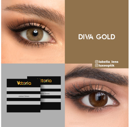 Victoria Diva Gold Ela Renk (1 Yıllık)