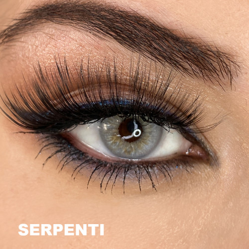 Hypnose Gri Renk Serpenti (3 Aylık)